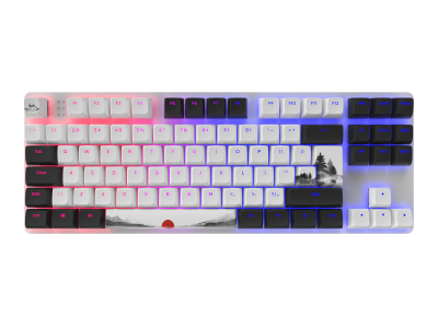 Геймърскa механична клавиатура Dark Project 87 Fuji RGB TKL - G3MS Sapphire Switches, ABS 1