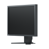 Монитор EIZO FlexScan S2133, IPS, 21.3 inch, Clasic, UXGA, D-Sub, DVI-D, DisplayPort, Черен 2